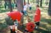 scout 0212
