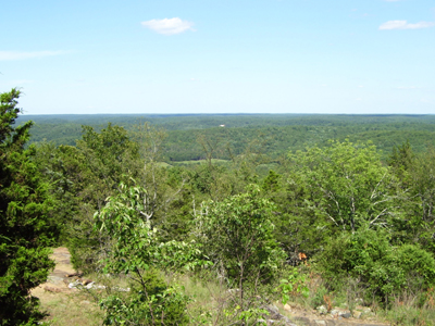 Camp Lewallen 2007 1540