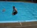 Camp Lewallen 2007 0950