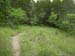 Camp Lewallen 2007 0960