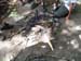 Camp Lewallen 2007 2280