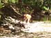 SummerCamp2011 113