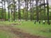 SpringCamporee 014