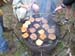 SpringCamporee 032